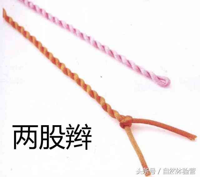 两股绳子编法大全(两股绳子编法大全金刚)