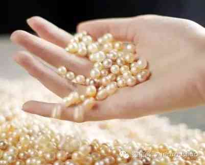 淡水珍珠很便宜吗(淡水珍珠很便宜吗能买吗)