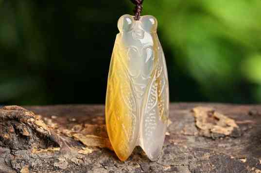 玉髓和玉的区别哪个贵(玉髓和玉的区别哪个贵些)