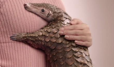 女人戴石榴石的寓意(石榴石戴多久可以养人)