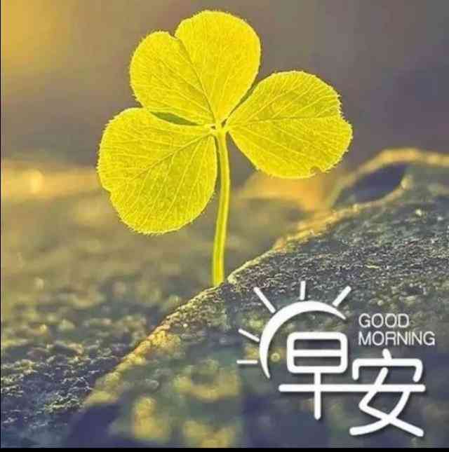 送什么给男情人最感动(送男人礼物前十件排名)