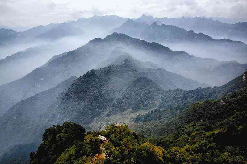 2019年鸡血石原石多少钱一克(鸡血石价格多少钱一克)
