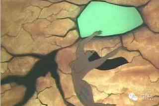 黄蜡石冰种多少钱一克(黄蜡石冰种原石图片)