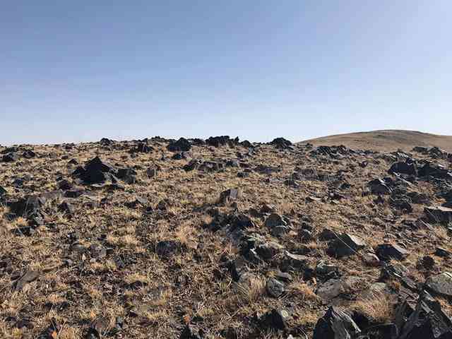 真正的砭石梳子多少钱(砭石的功效和作用)