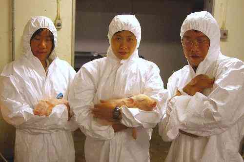 普通蓝珀多少钱一克(蓝珀多少钱一克?蓝珀市场价格公示)