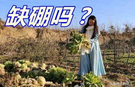 碧玺石价格一克多少钱(碧玺一般多少钱一克)