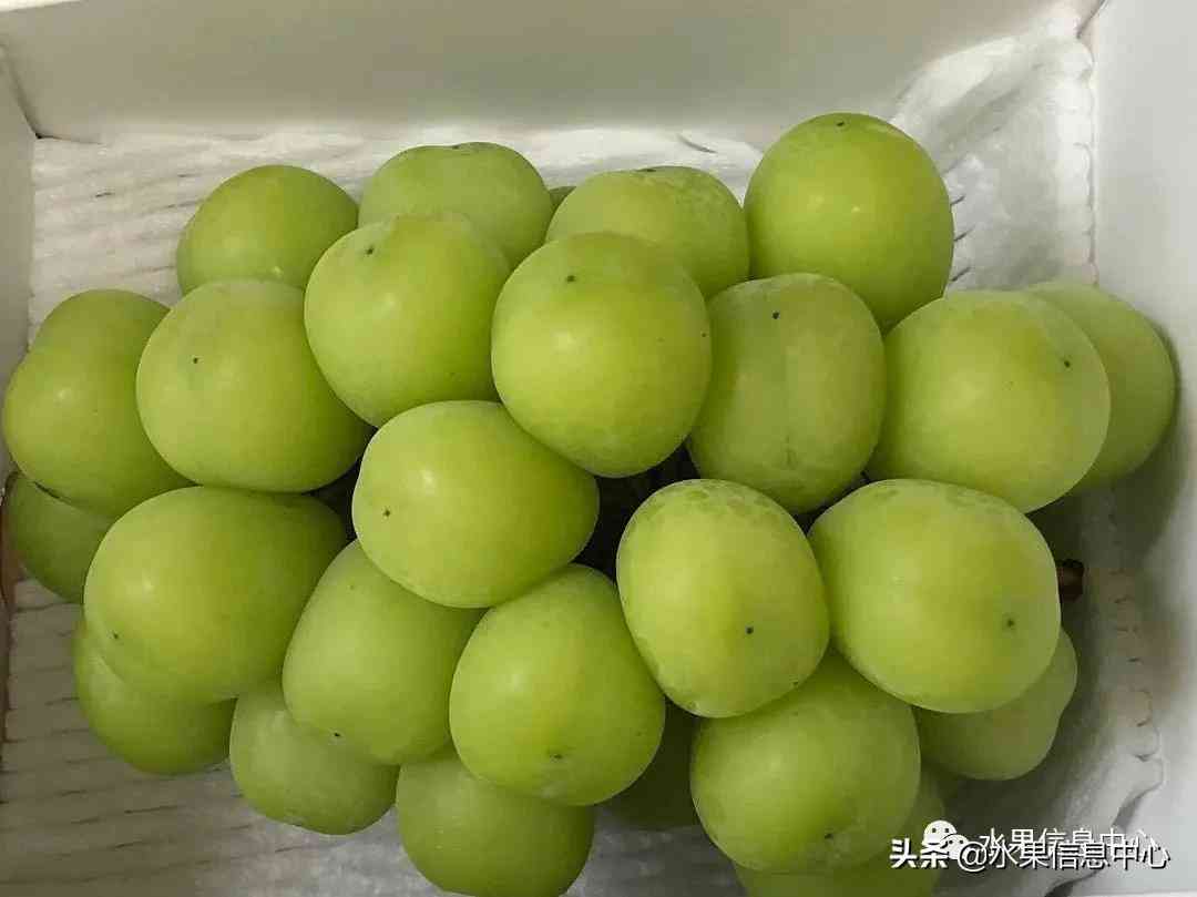 金丝楠木手串(金丝楠木手串怎么盘)