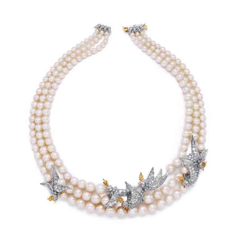 钻石小鸟线下实体店(钻石小鸟 实体店)