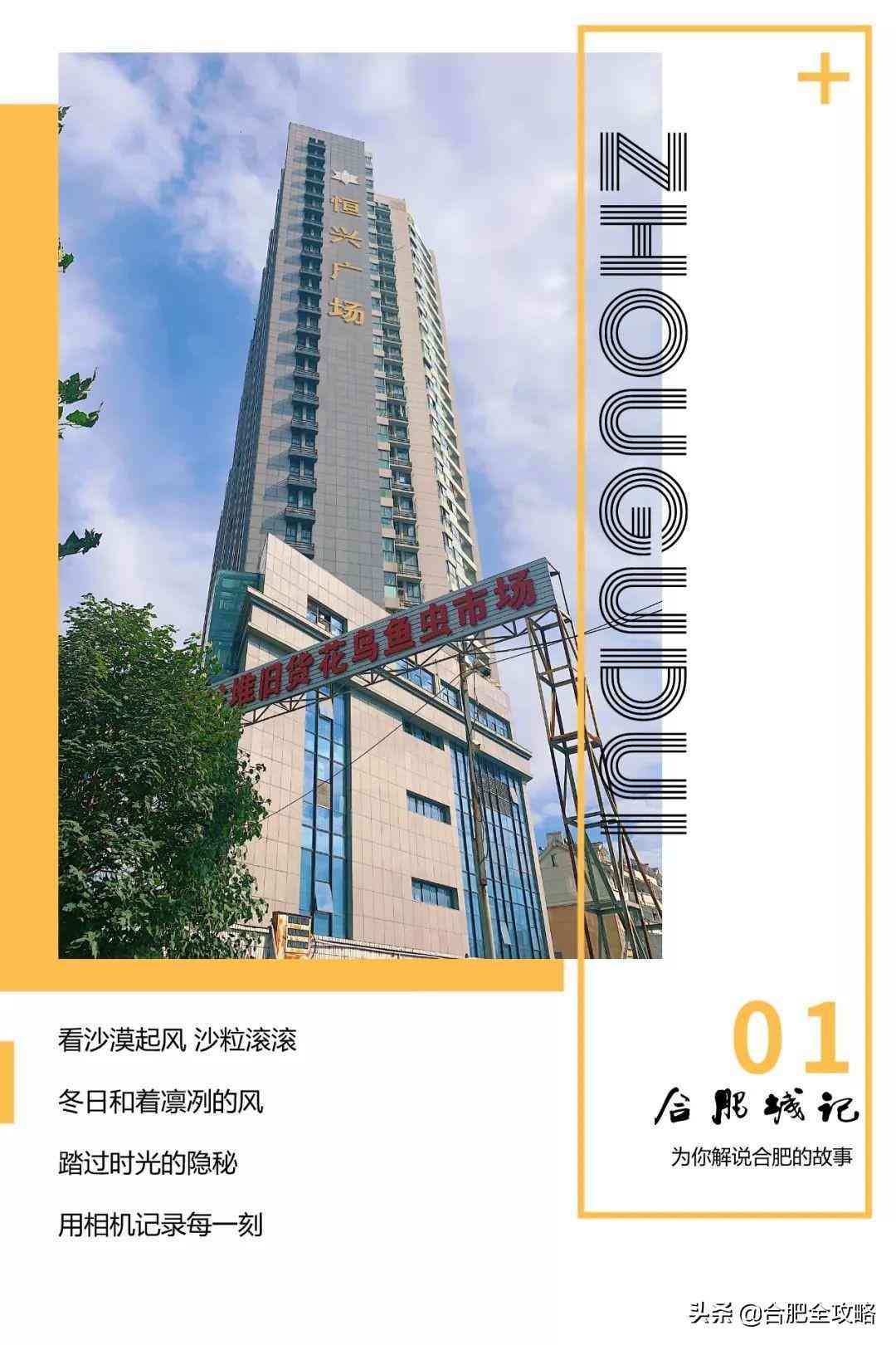 钻石小鸟实体店一览表上海(钻石小鸟上海体验店)