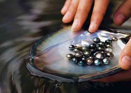 正宗大溪地黑珍珠价格(大溪地黑珍珠收藏价值)
