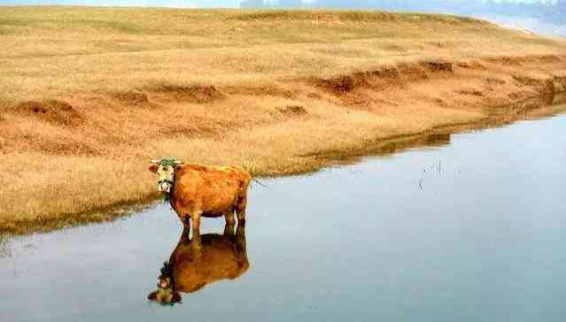 水钻价格多少钱一克(水钻戒指多少钱一个)