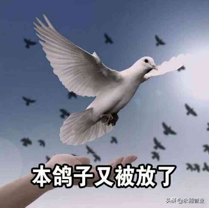 今日黄金价格走势(今日黄金价格走势图)