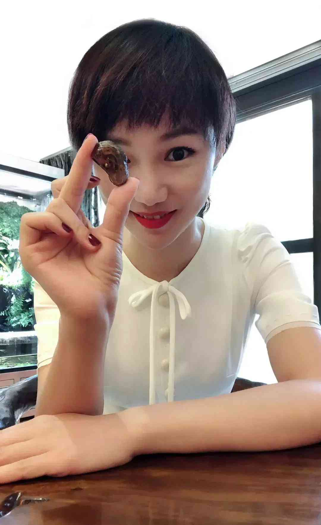 琥珀的资料(琥珀的资料四年级下册)