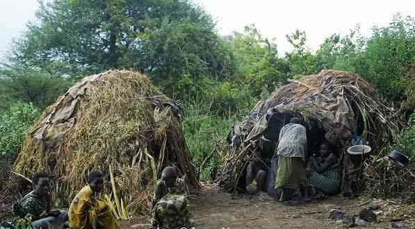 150种常见岩石标本(150种常见岩石标本,怎么购买)
