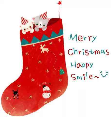 黑发晶手串(黑发晶手串多少颗珠子合适)