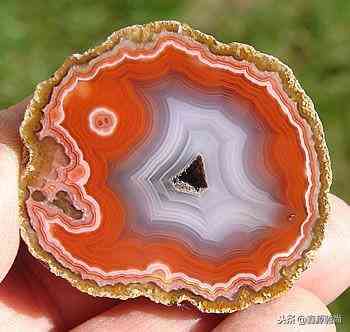 玉髓值钱吗(帝王紫玉髓值钱吗)