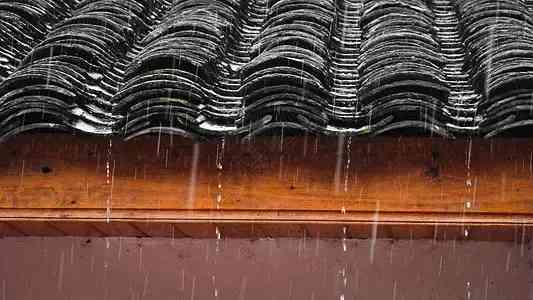 猫眼石如何鉴别(猫眼石如何鉴别好坏)