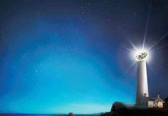 施华洛世奇是哪国品牌(施华洛世奇是什么档次的牌子)