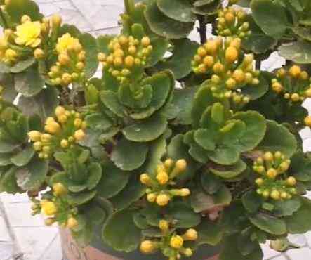 送结婚新人什么礼物比较好(结婚送新人什么东西)