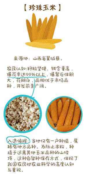 珍珠对人体的十大好处(珍珠对身体的危害)