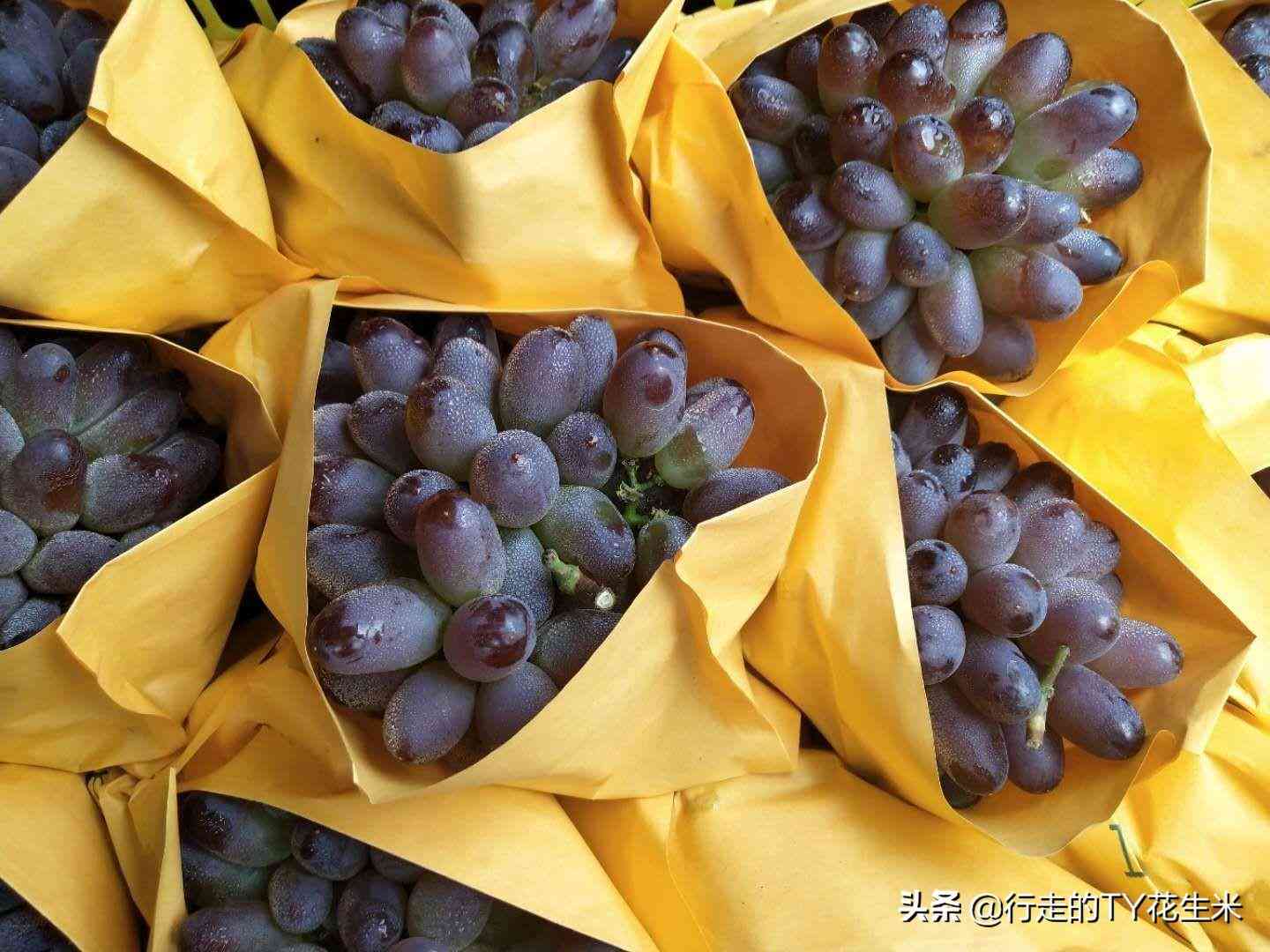 红刚玉价格很便宜吗(红刚玉原石价值多少钱)