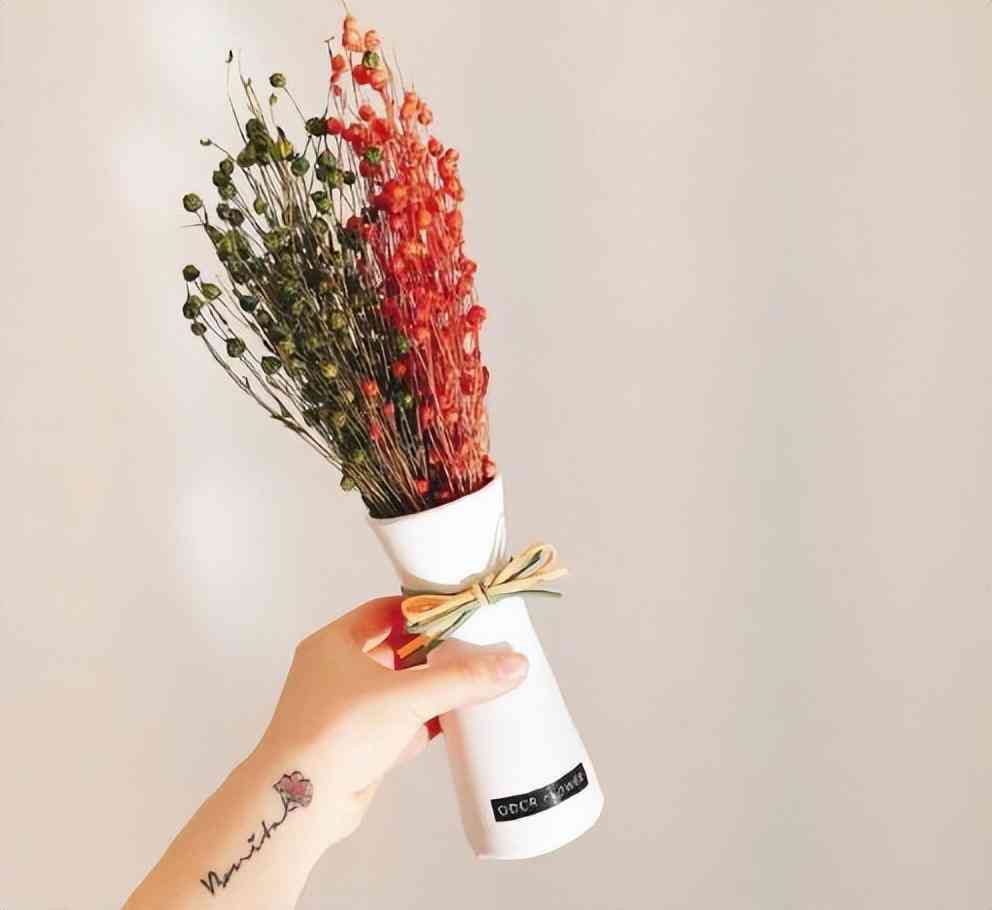 浪漫求婚策划(浪漫求婚策划书怎么写)