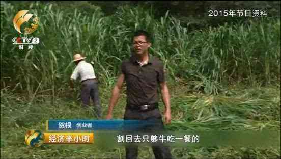 银子多少钱一克回收(银子多少钱一克回收2023)