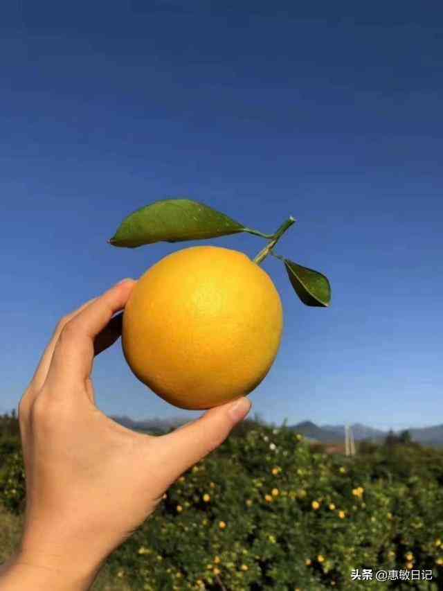 宝石项链品牌(宝石项链品牌排名)