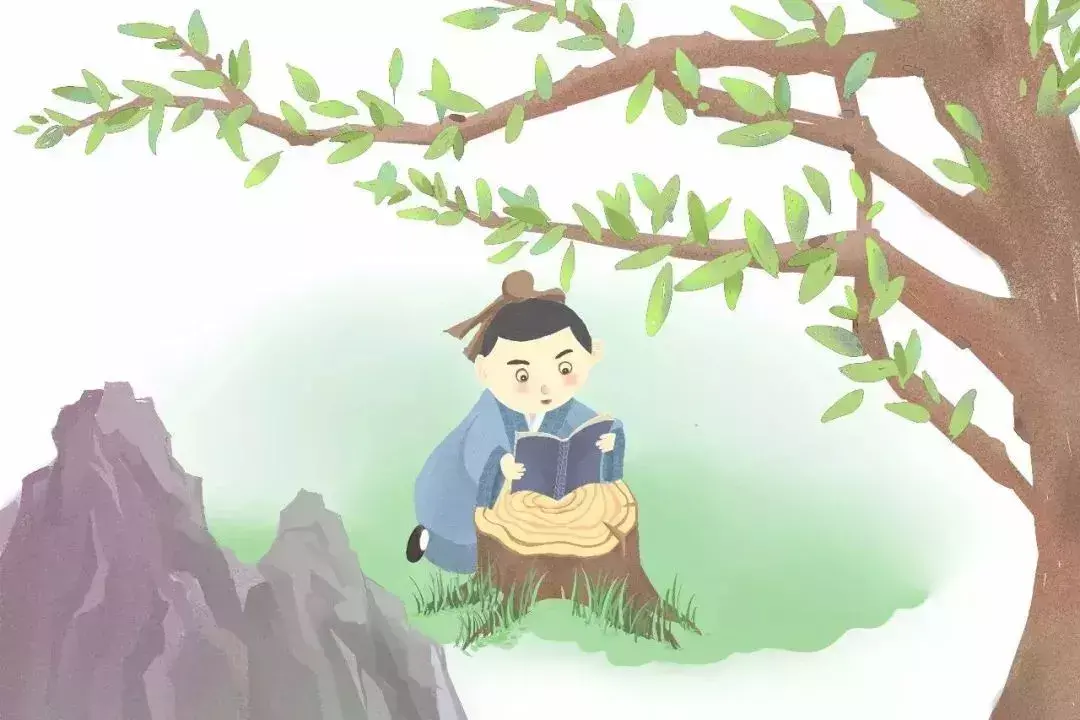 怎么鉴别珍珠的真假(怎么识别珍珠的真假呢?)