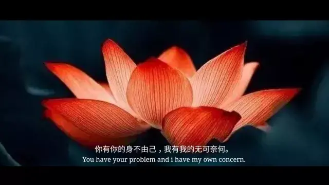 琥珀是怎么形成的过程(琥珀是怎么形成的过程50字)