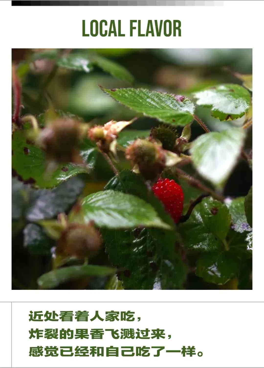 玛瑙手镯一般多少钱一只(白色玛瑙手镯一般多少钱)