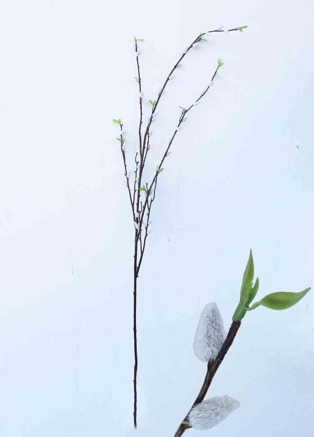 为什么银手镯要戴左手(为什么银手镯要戴在左手上)