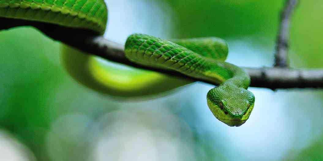 脚链的戴法及佩戴禁忌(脚链的寓意和象征)