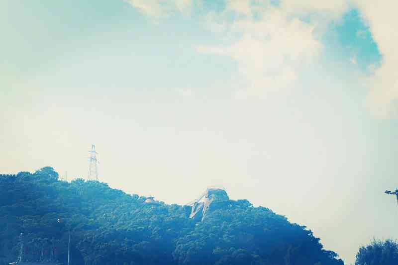 荟萃楼珠宝黄金可靠吗(荟萃楼珠宝黄金可靠吗?)