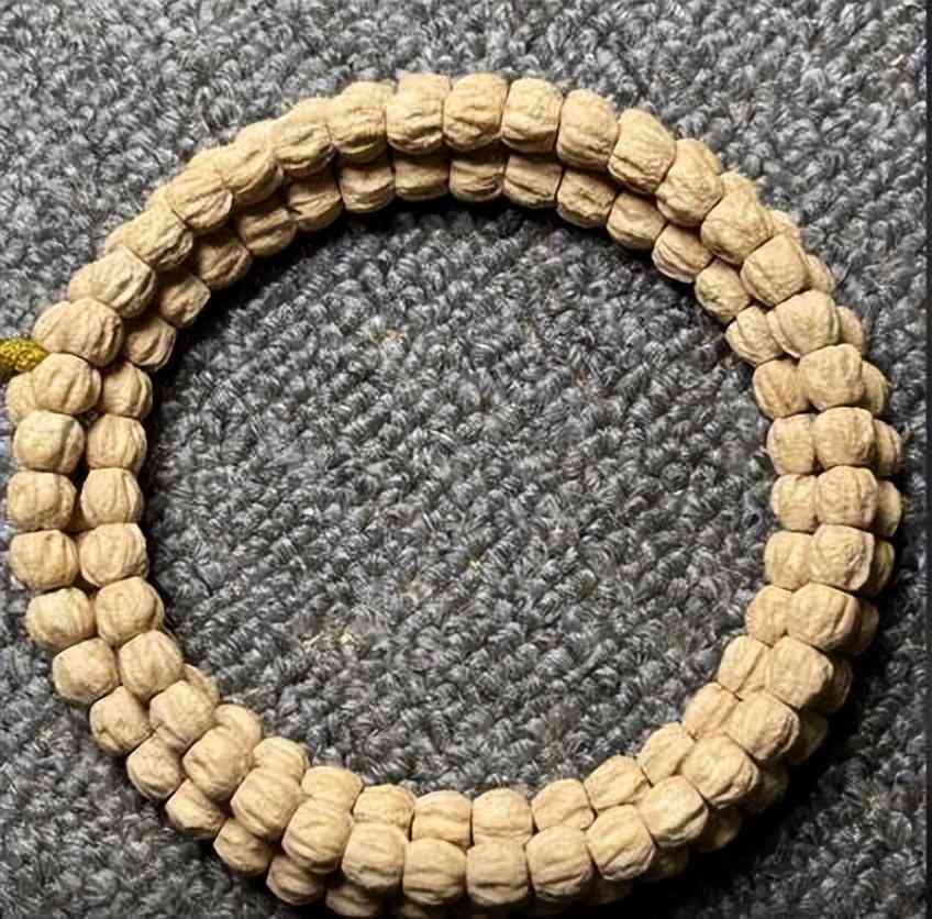 金刚菩提子几瓣的好价格表(金刚菩提几瓣值钱)