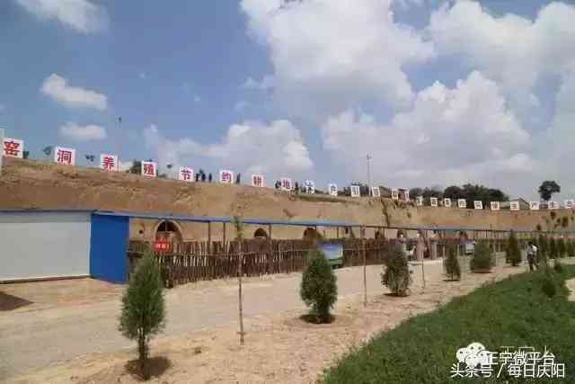 金发晶的功效与禁忌(金发晶什么功效)