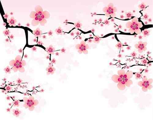 女人戴什么水晶最辟邪(女人必带的十种水晶)