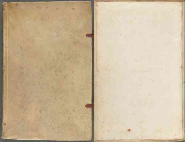 送女朋友什么生日礼物好(17岁送女朋友什么生日礼物好)