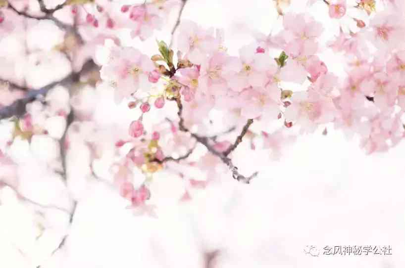 黄水晶的功效与作用佩戴禁忌(黄水晶的寓意和象征)