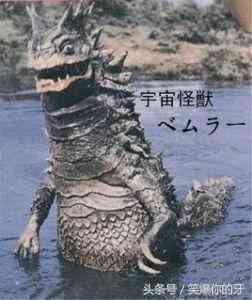 常见的玉石种类有哪些(常见的玉石种类及其特点)