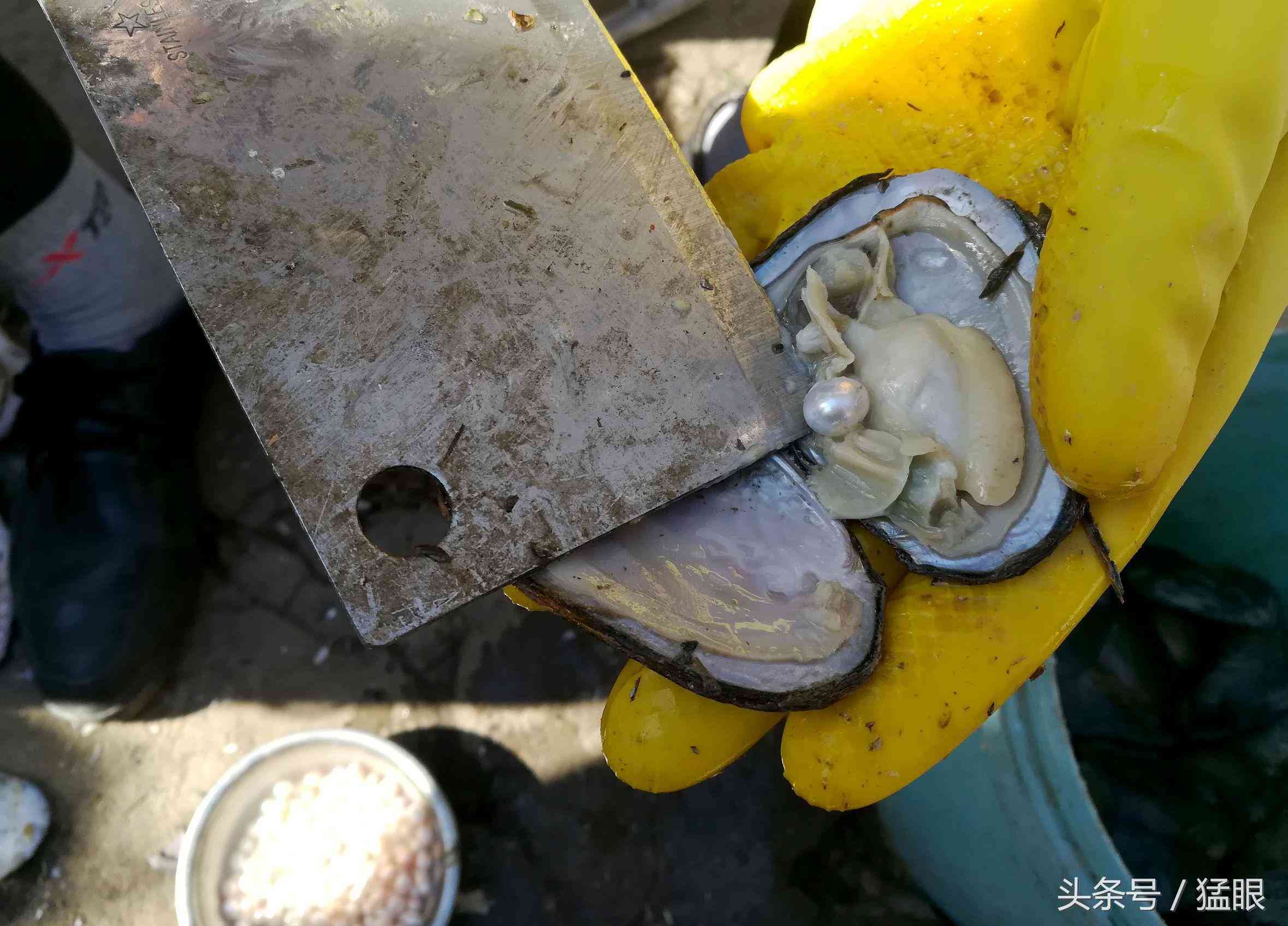老人街头卖北海珍珠，一颗两元现拨现卖现加工，市民围观只看不买