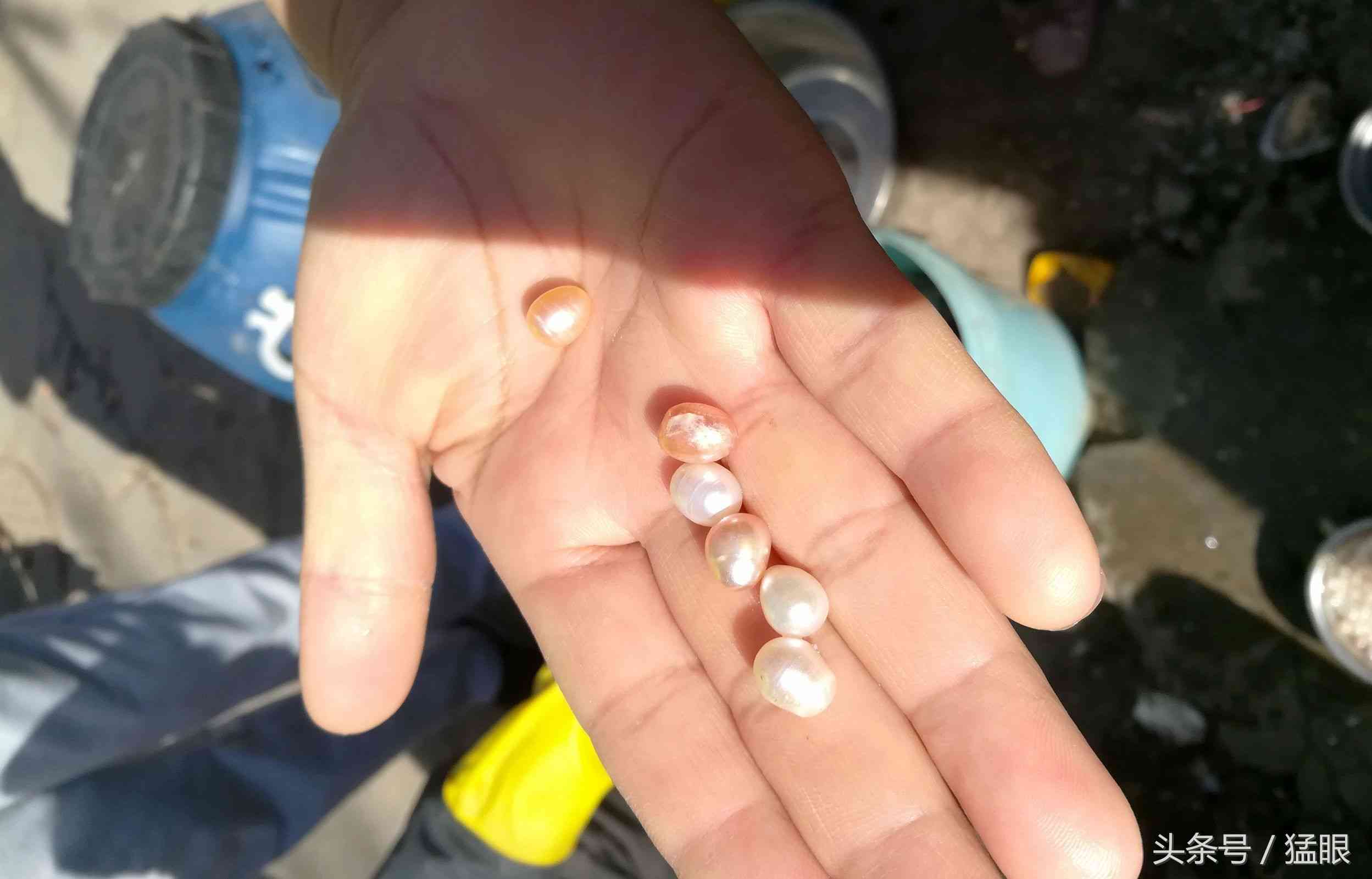 老人街头卖北海珍珠，一颗两元现拨现卖现加工，市民围观只看不买