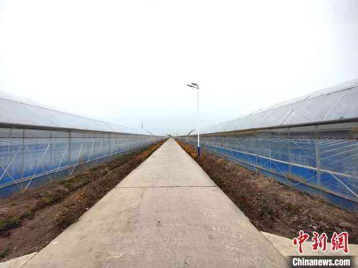 穷小子回乡创业做化妆品(化妆品创业机会)