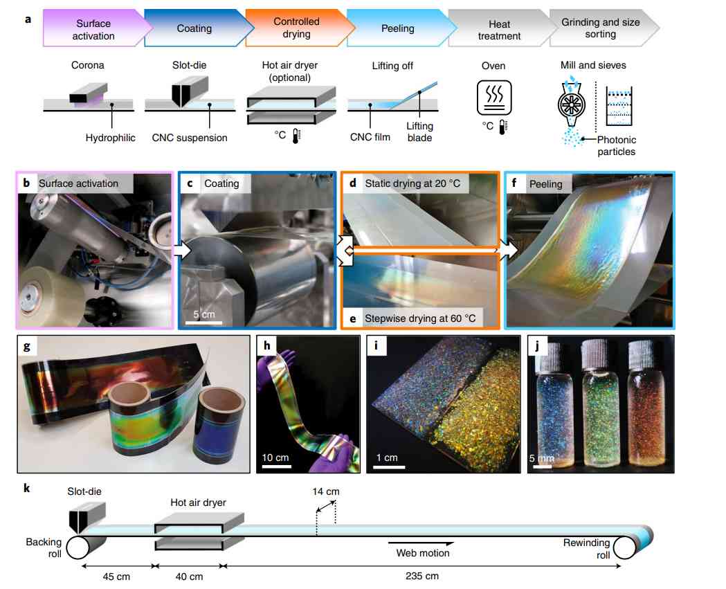 化妆品降解材料(化妆品降解材料有哪些)