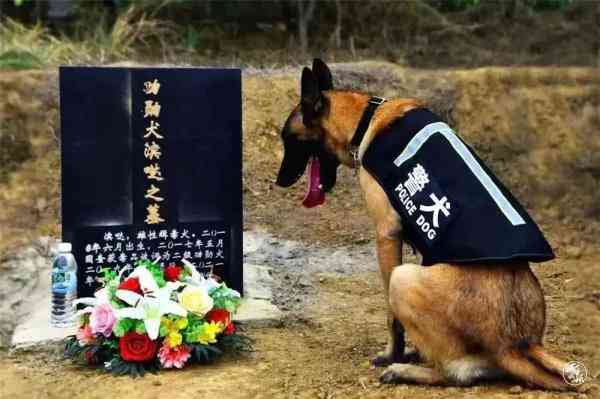 保山化妆品厂招工电话号码(保山饮料厂招聘)