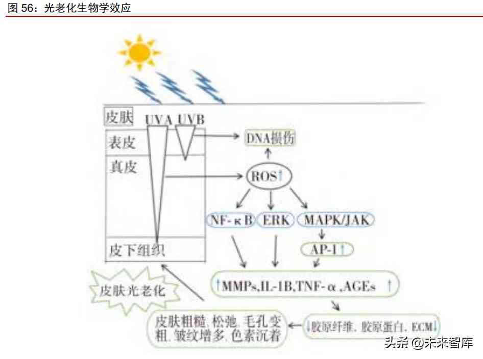 中国化妆品原材料市场调查(中国化妆品原材料市场调查研究)插图21 中国化妆品原材料市场调查(中国化妆品原材料市场调查研究)插图21