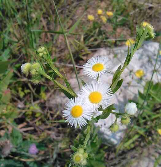 城阳家佳源化妆品招聘(城阳家佳源电话号码)插图11 城阳家佳源化妆品招聘(城阳家佳源电话号码)插图11