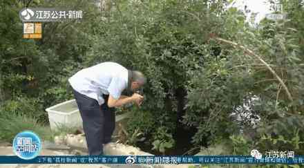 甲壳先生的化妆品咋样(甲壳素化妆品怎么样)