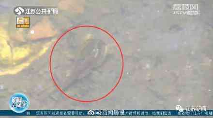 甲壳先生的化妆品咋样(甲壳素化妆品怎么样)插图3