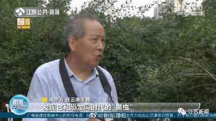 甲壳先生的化妆品咋样(甲壳素化妆品怎么样)插图4